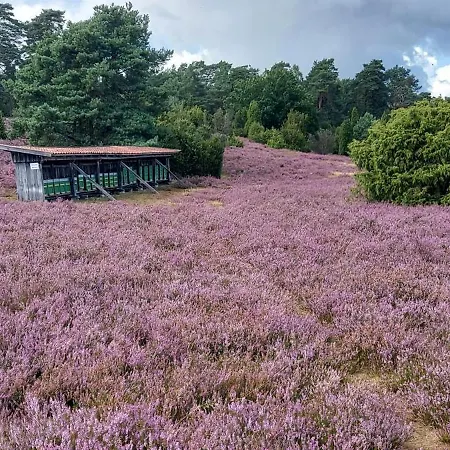 Casa-flores, Um