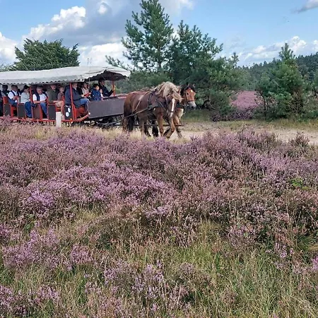 Casa-flores, Um